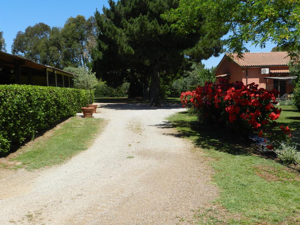 Agriturismo Fusini Magliano in Toscana Exterior photo