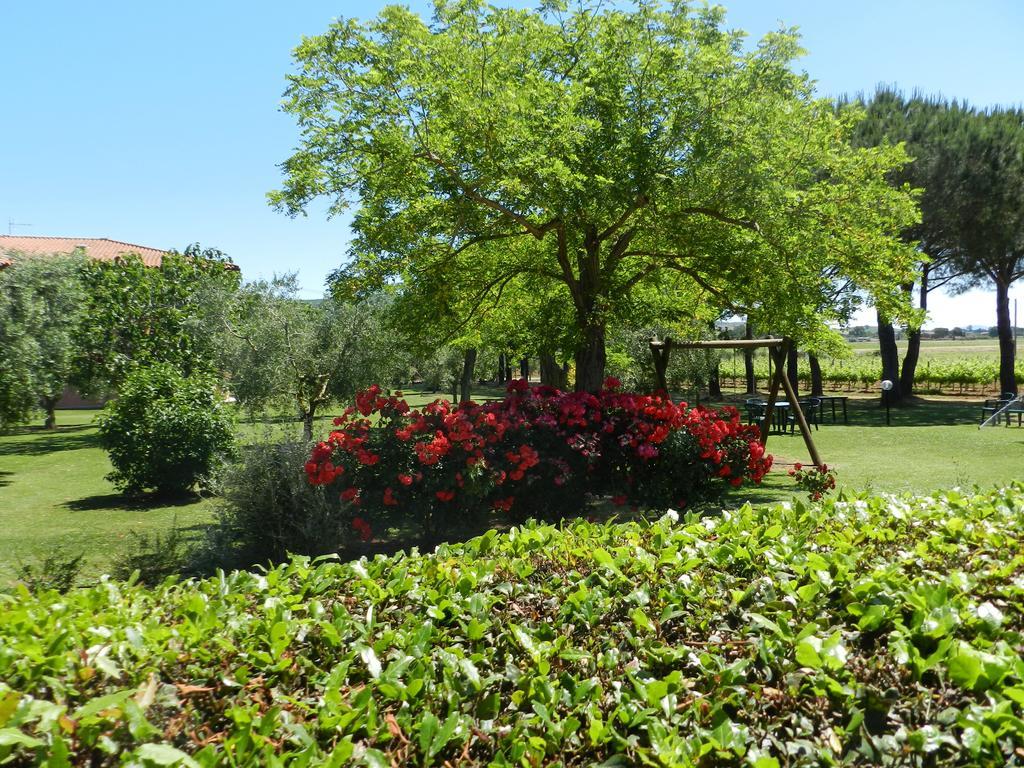 Agriturismo Fusini Magliano in Toscana Exterior photo