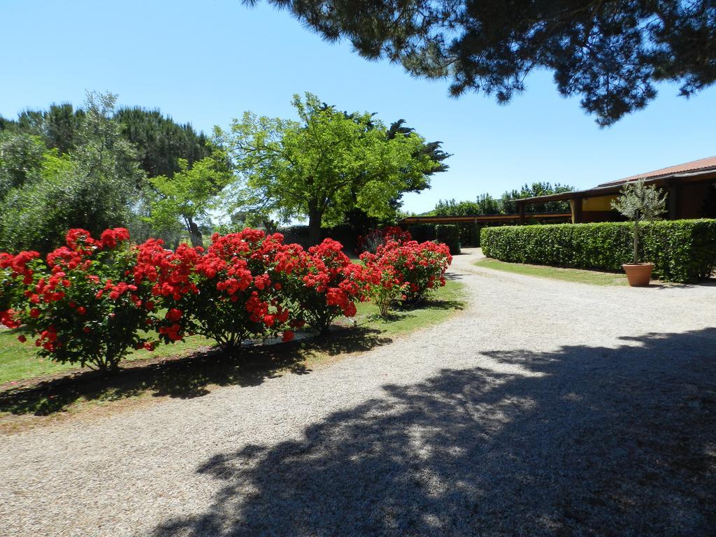 Agriturismo Fusini Magliano in Toscana Exterior photo