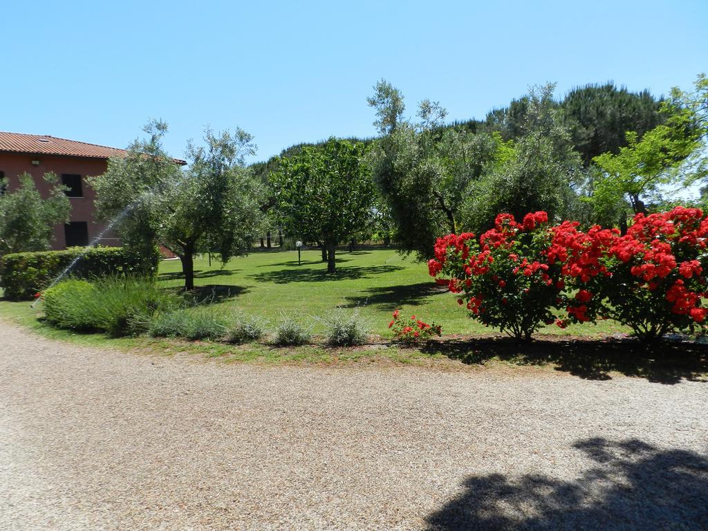 Agriturismo Fusini Magliano in Toscana Exterior photo