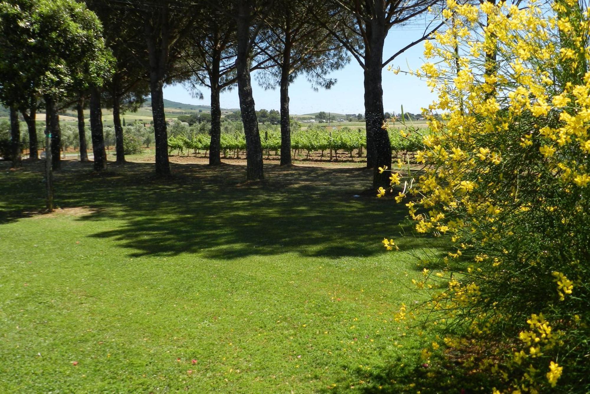 Agriturismo Fusini Magliano in Toscana Exterior photo