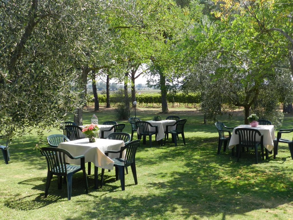 Agriturismo Fusini Magliano in Toscana Exterior photo