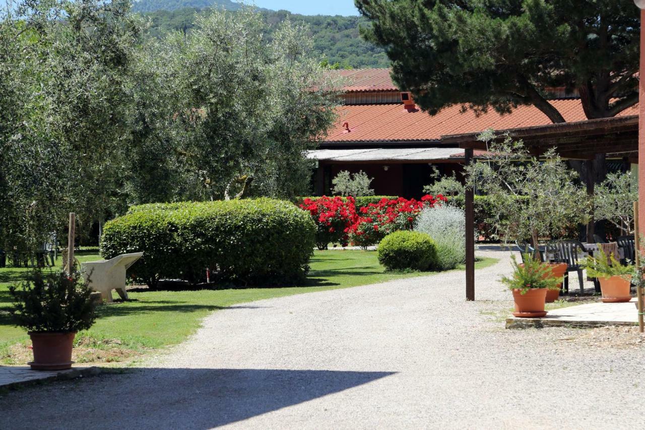 Agriturismo Fusini Magliano in Toscana Exterior photo