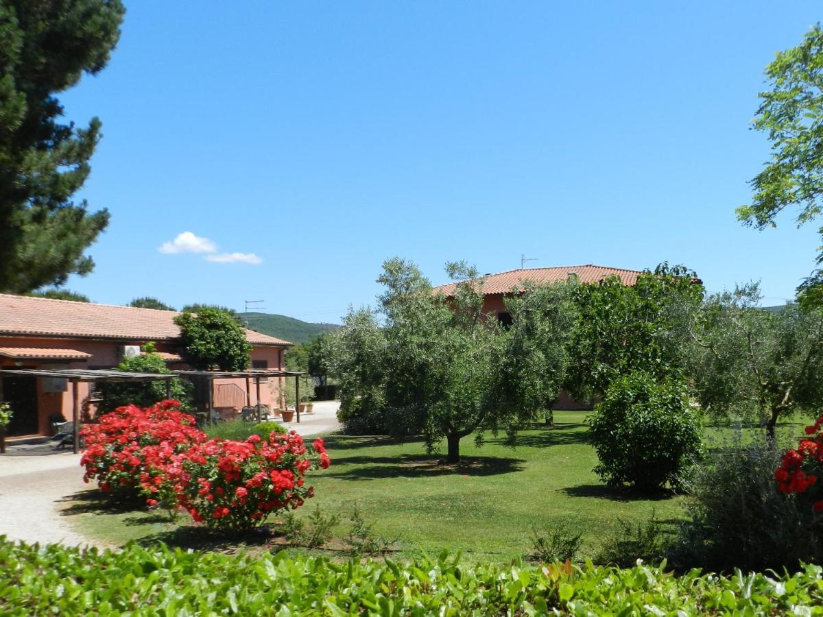 Agriturismo Fusini Magliano in Toscana Exterior photo