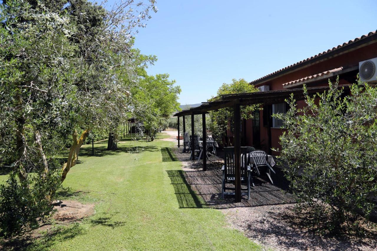 Agriturismo Fusini Magliano in Toscana Exterior photo